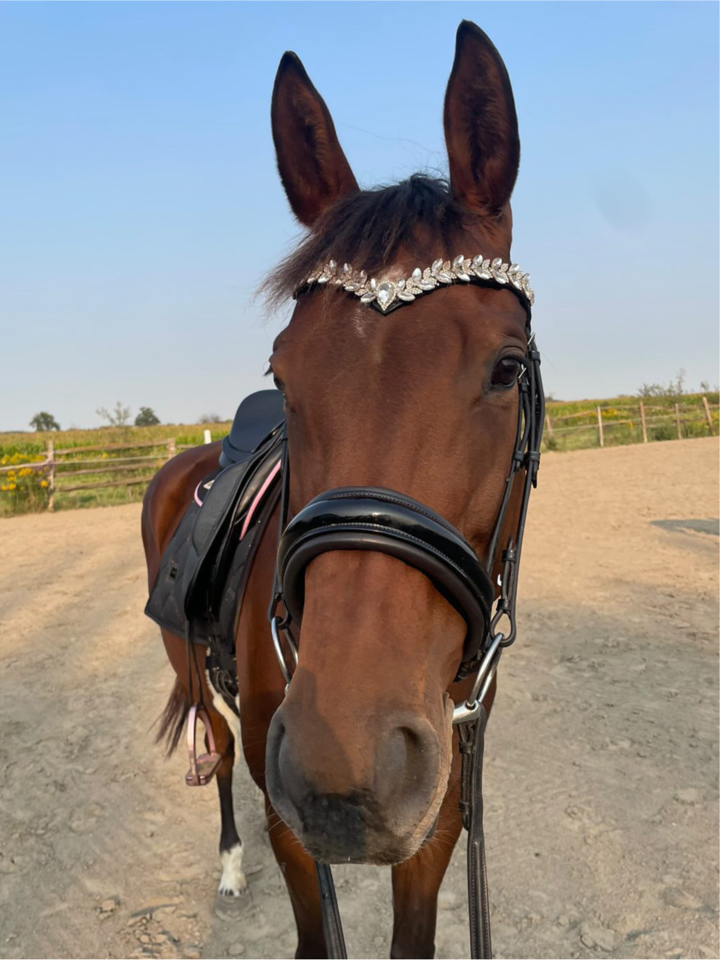 Icon Browband