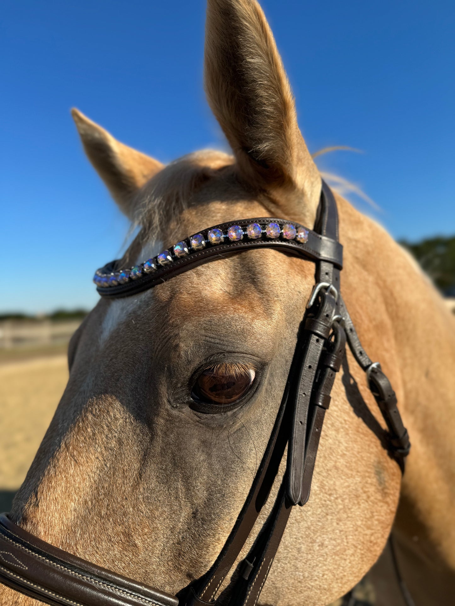 Lavender Dream Browband