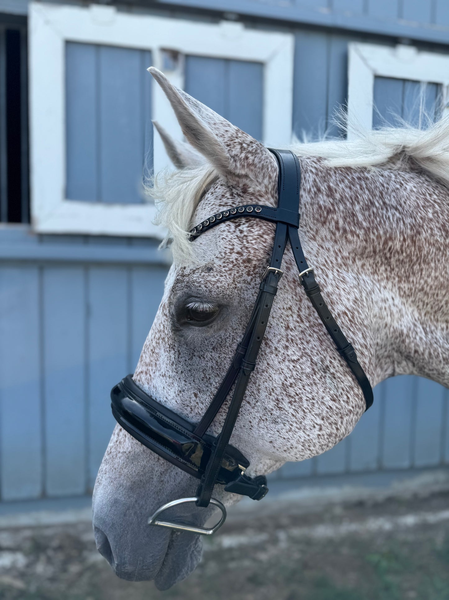 Luxe Dressage Bridle - Black