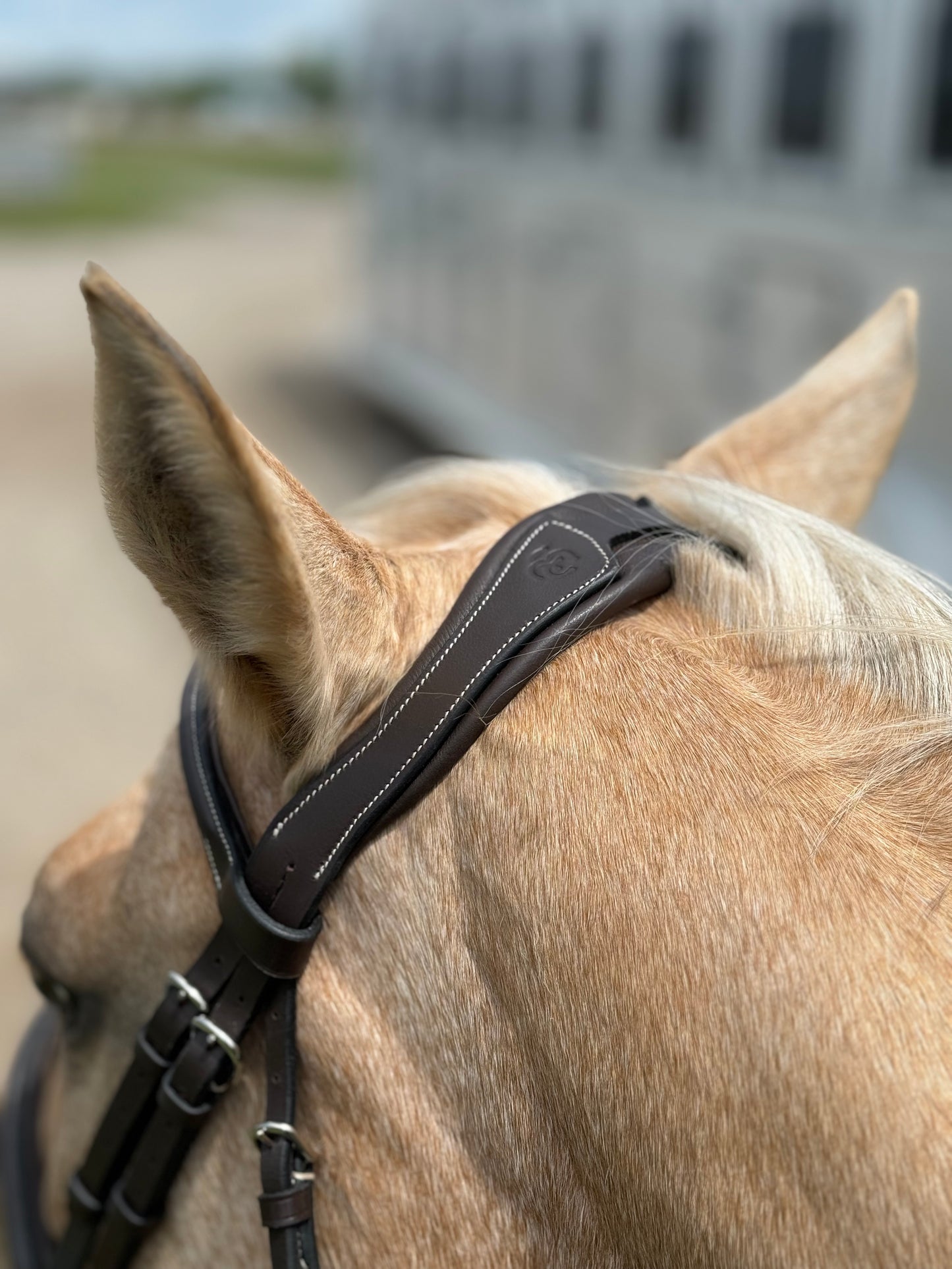 Huntfield Anatomical Bridle - Dark Brown