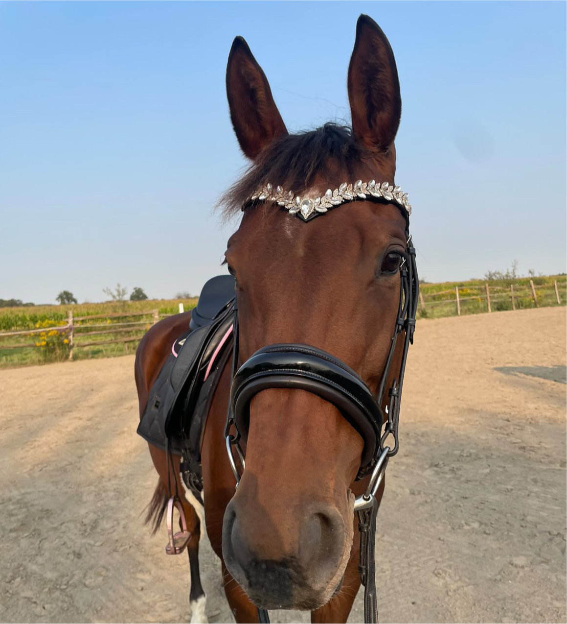 Icon Browband