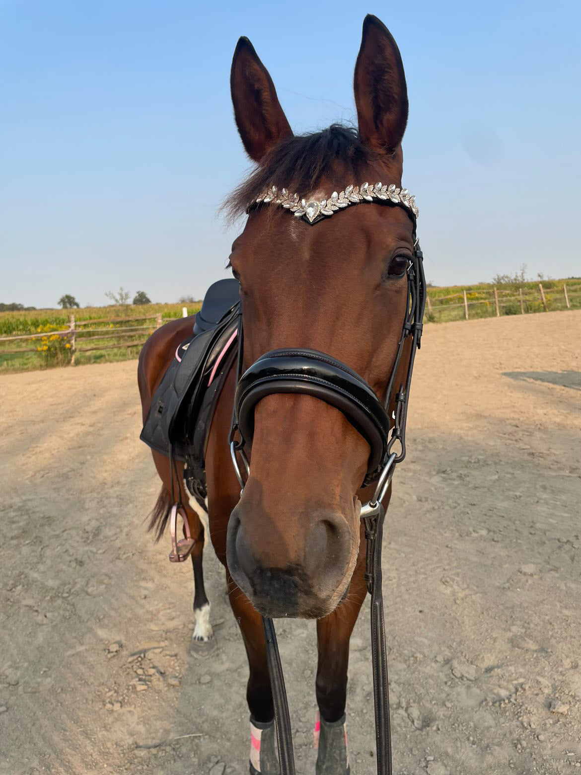 Icon Browband