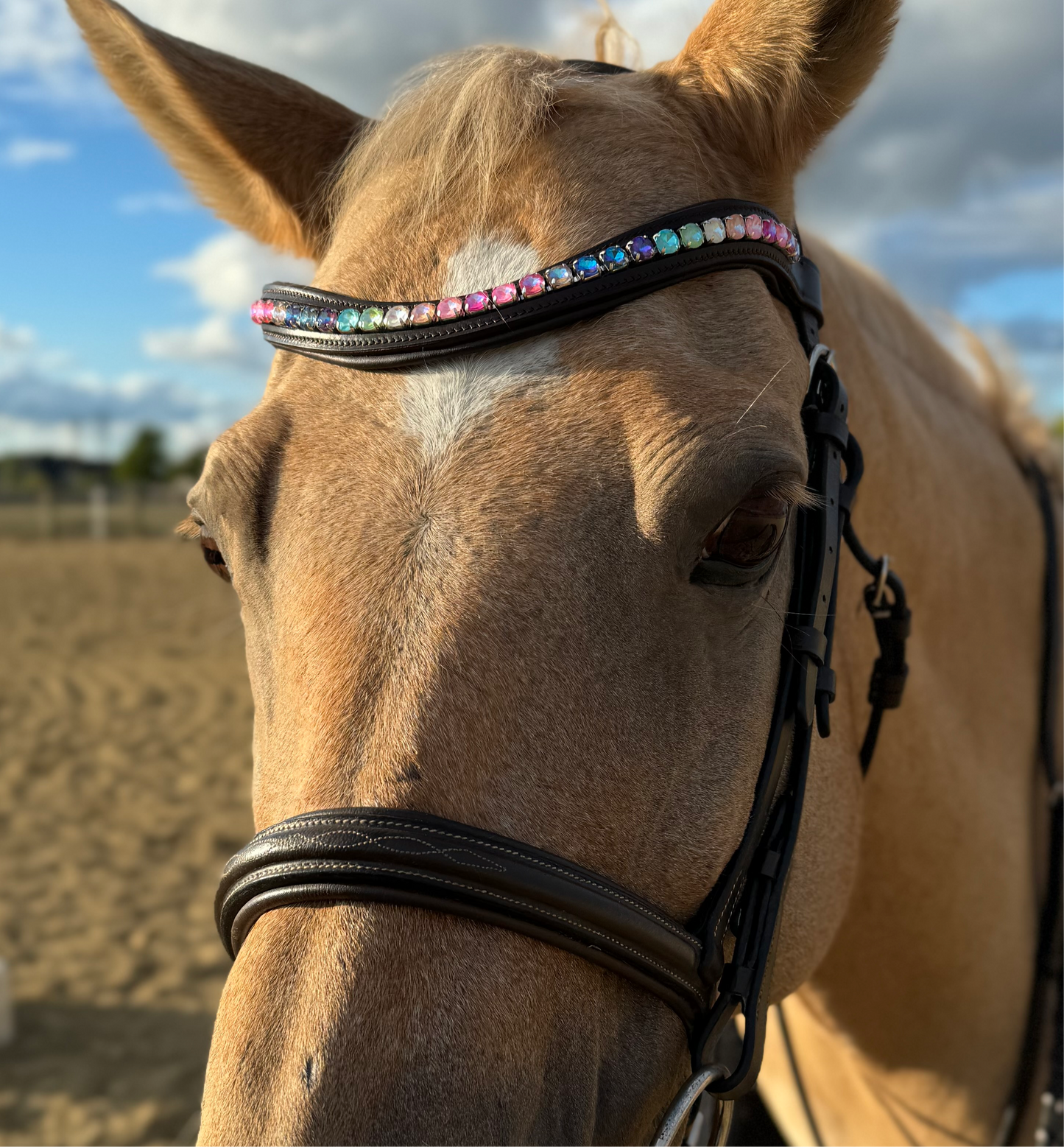 Rainbow Dream Browband