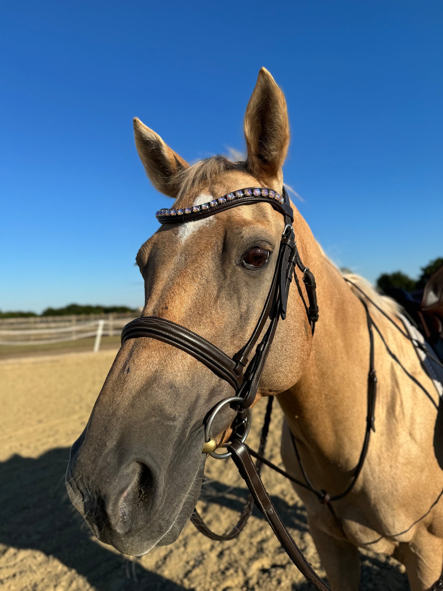 Lavender Dream Browband