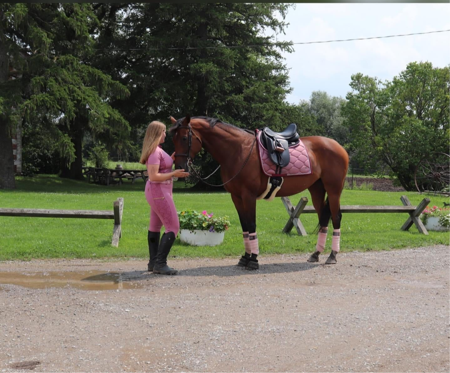 Essence Equestrian Performance Shirt - Mauve (Youth and Women sizes)