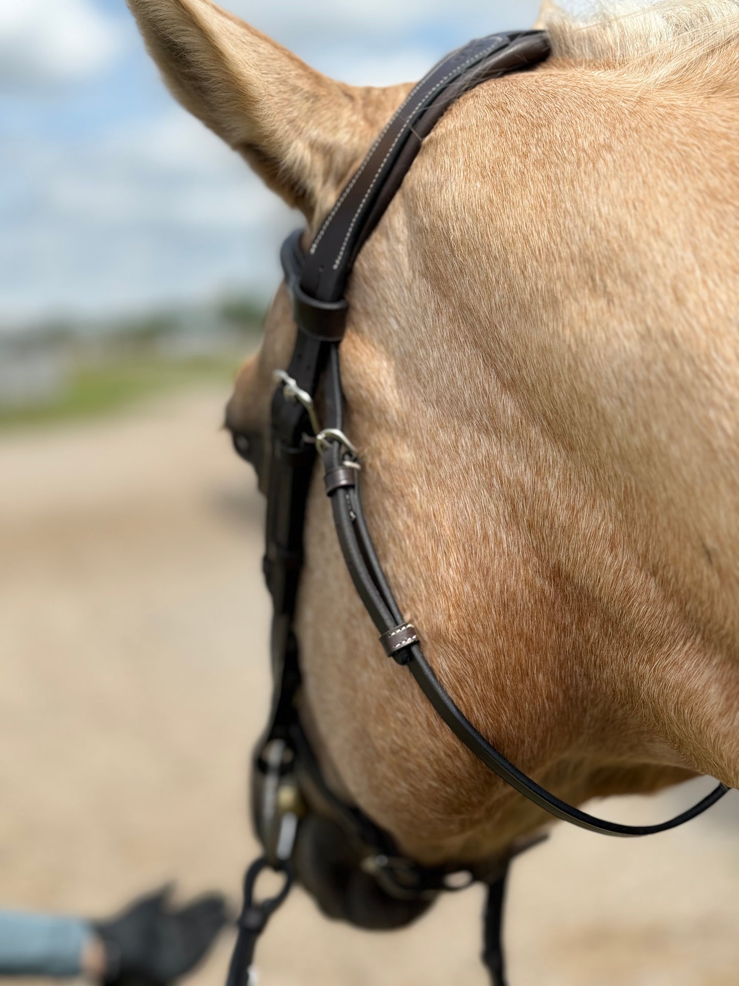 Huntfield Anatomical Bridle - Dark Brown