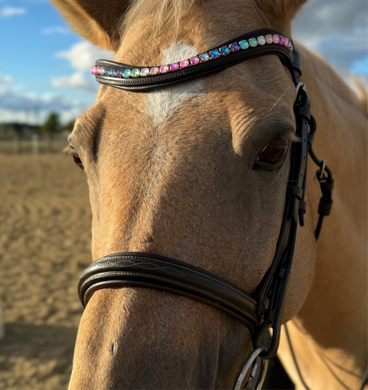 Rainbow Dream Browband