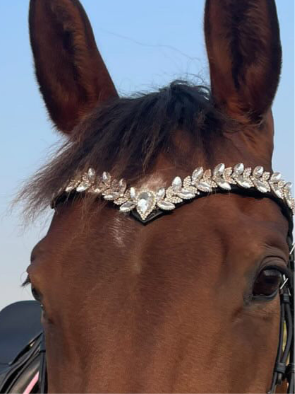 Icon Browband