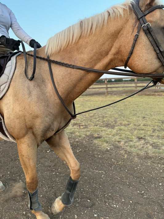 Huntfield Standing Martingale - Dark Brown