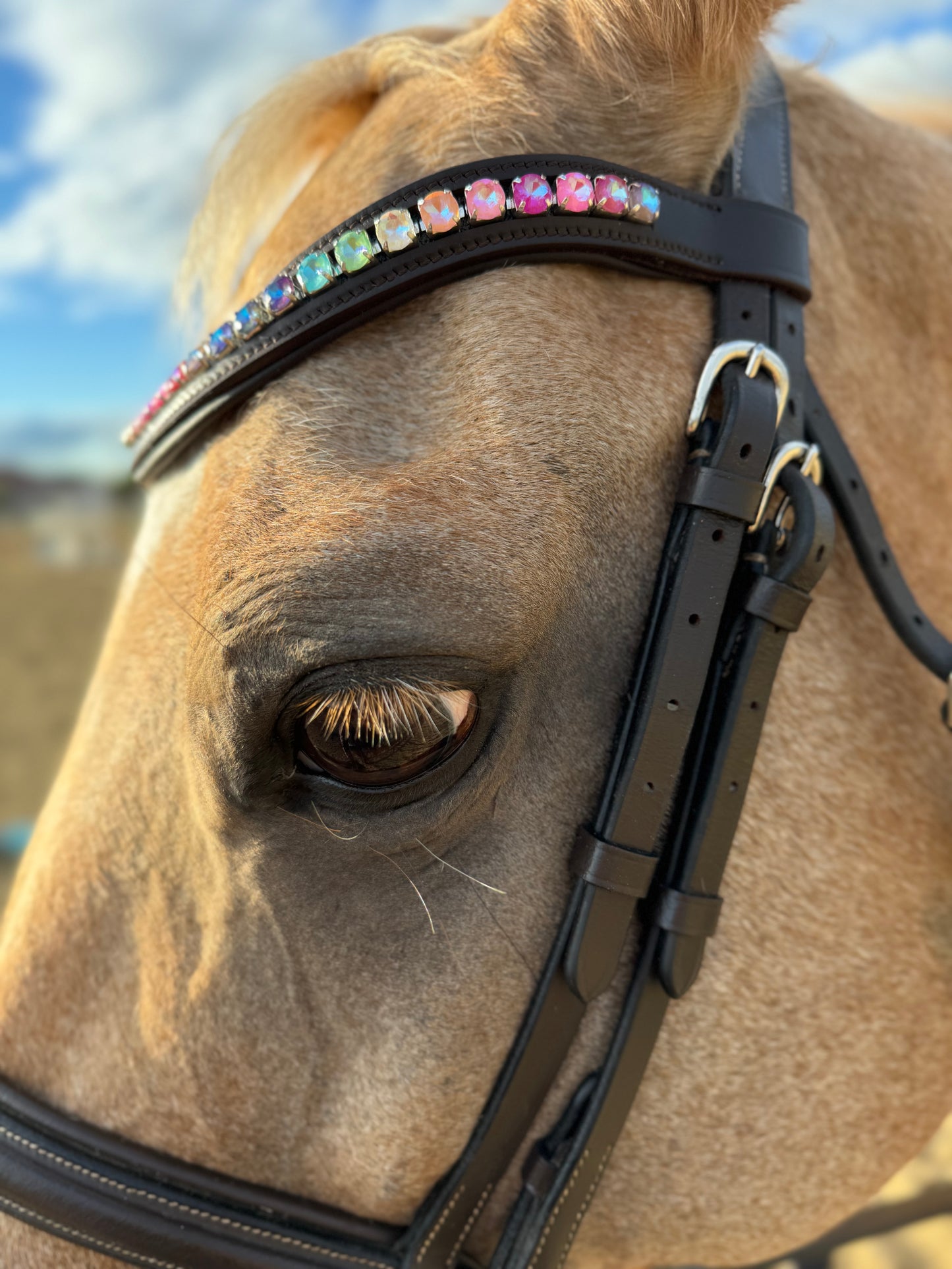 Rainbow Dream Browband