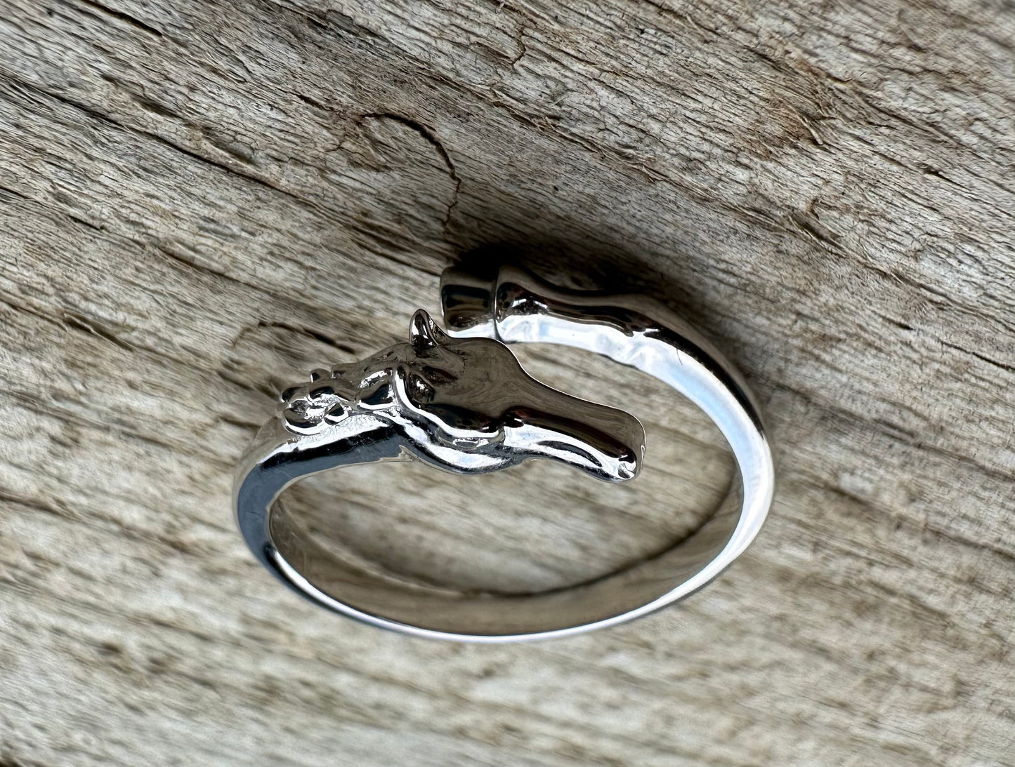 Sterling Silver Adjustable  Equine Harmony Ring