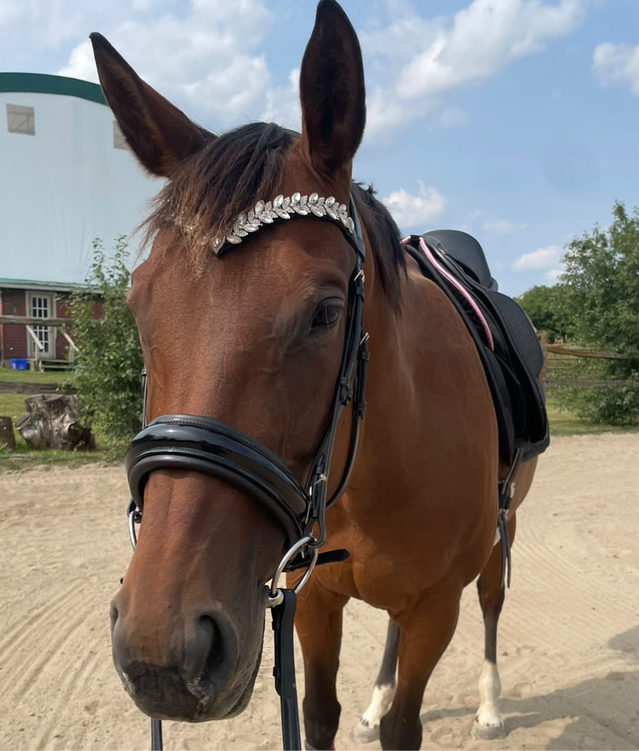 Icon Browband