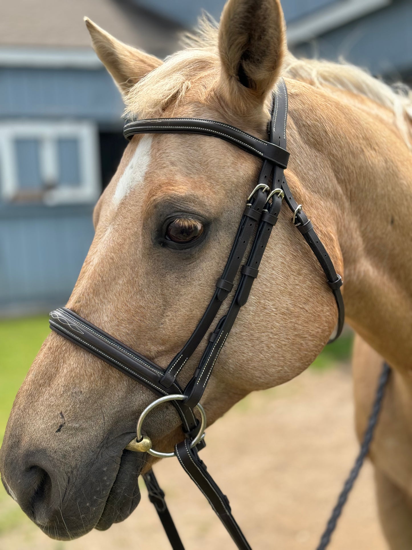 Huntfield Anatomical Bridle - Dark Brown