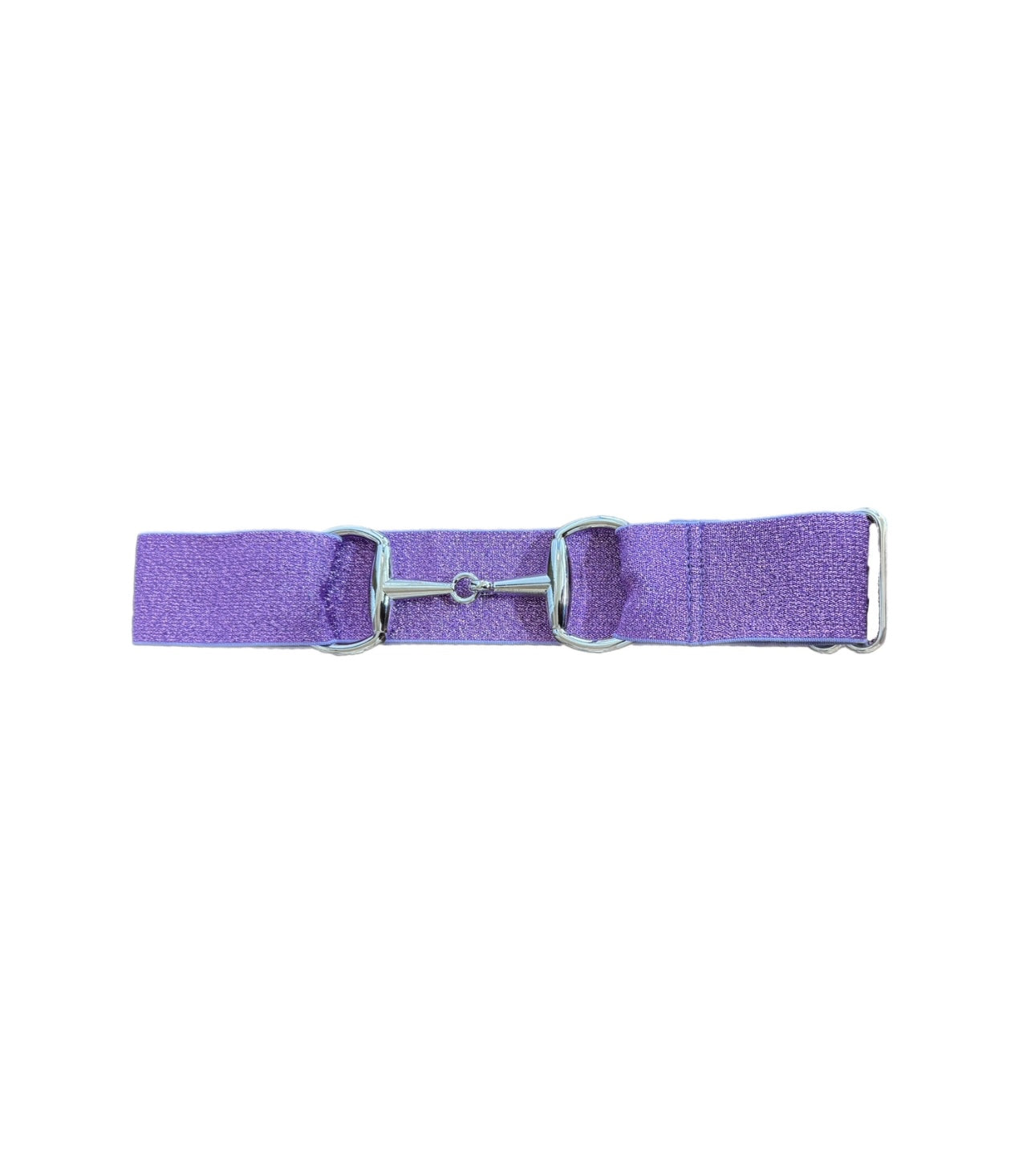 Bit Belt - Purple Sparkle (Youth)