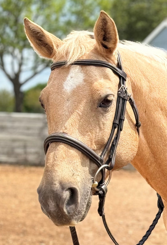 Huntfield Anatomical Bridle - Dark Brown