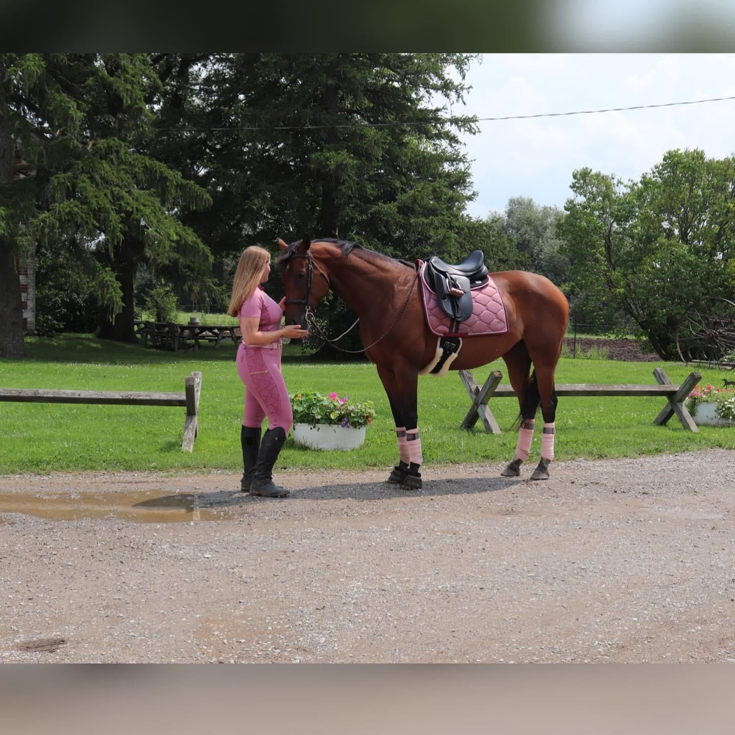 Essence Equestrian Full Seat Breeches - Mauve  (Youth and Women sizes)